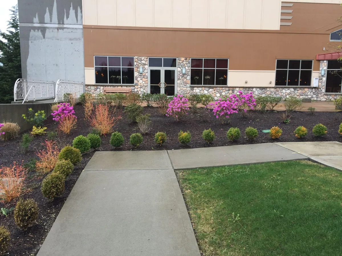 Commercial building exterior entry with concrete walkway, landscaping, and stone facade in good condition